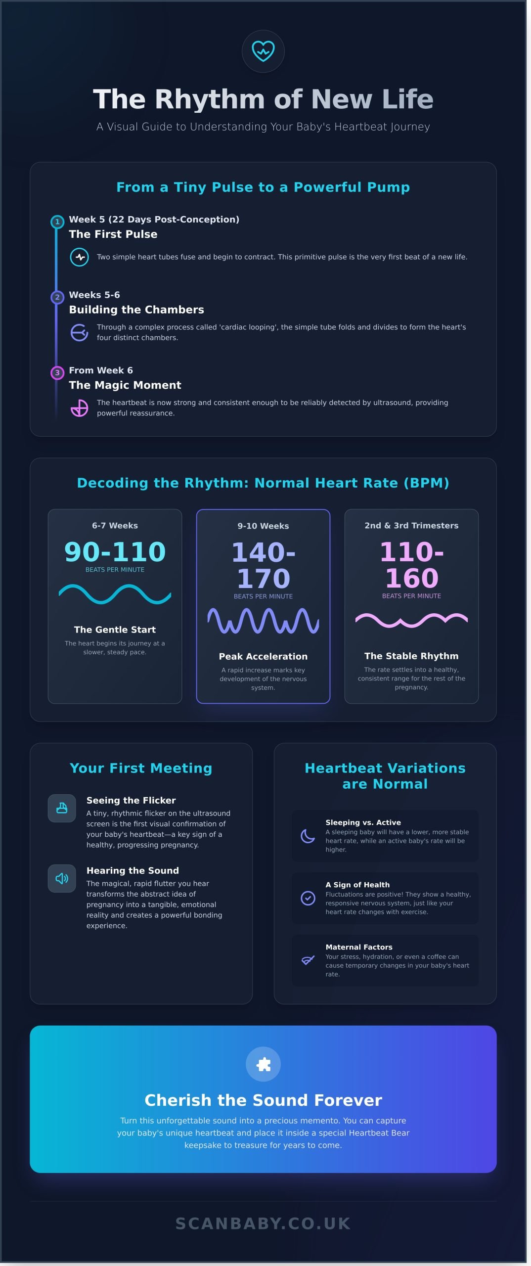 Understanding Your Baby's Heartbeat: Fascinating Facts for Mansfield Parents
