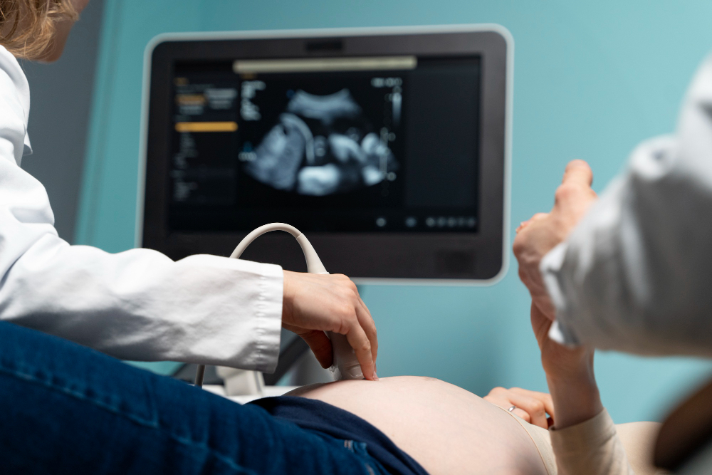 Early pregnancy scan