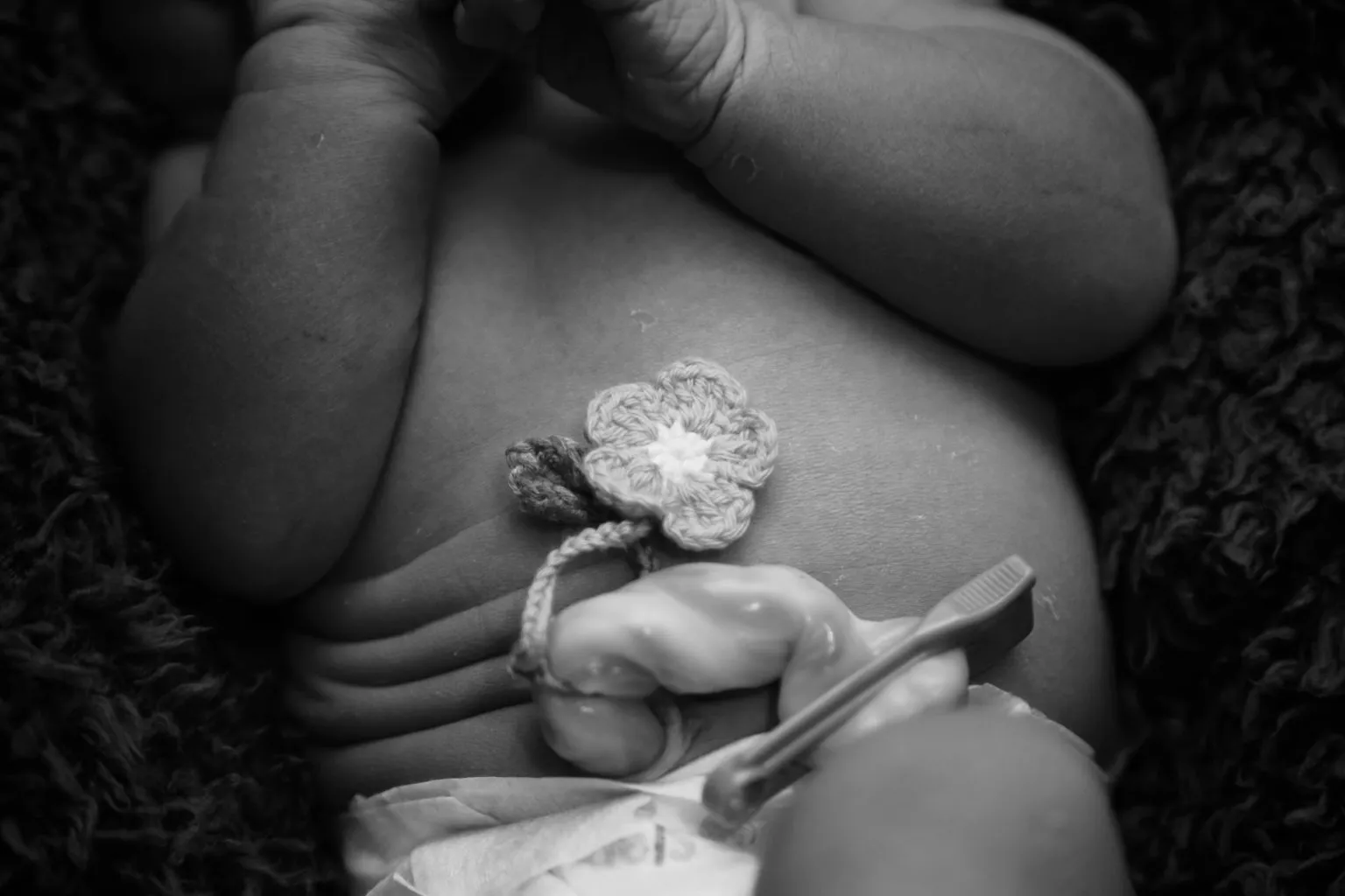 Newborn baby holding a tiny flower