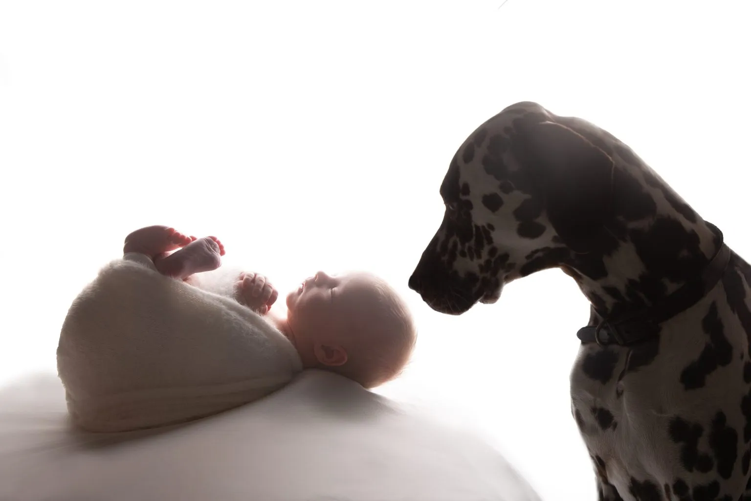 Newborn baby lying beside a curious spotted dog